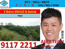 Blk 532 Bukit Batok Street 51 (Bukit Batok), HDB 4 Rooms #169952222